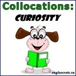 collocations-CURIOSITY